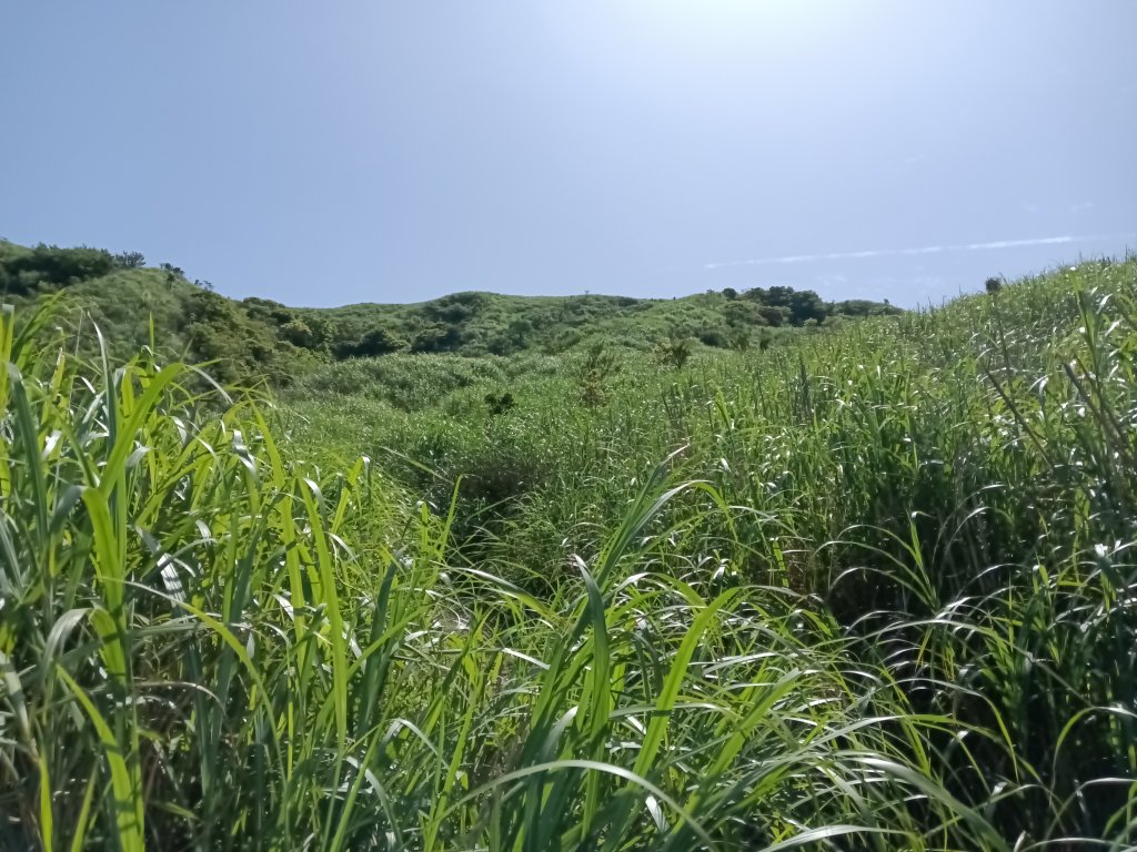 雙溪區不厭亭+牡丹山+樹梅坪+鷹石岩山神廟+不厭亭+奉憲示禁碑+三貂崙+不厭亭8字走_2766215
