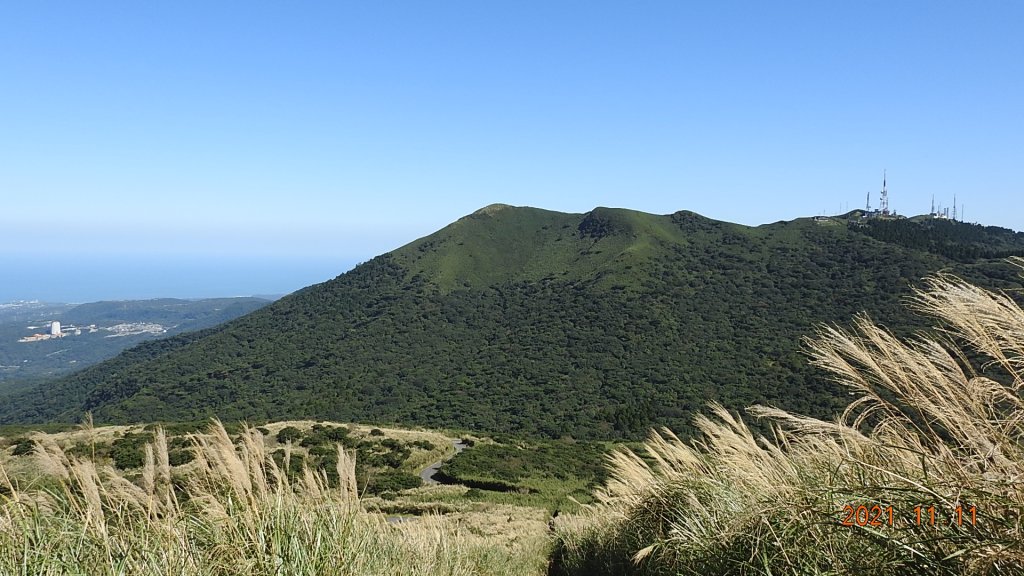 秋高氣爽芒花季再度陽明山天際線-七星山主東峰+大屯山主南西峰向天面天山O型+小觀音山主西南峰共10峰_1511125