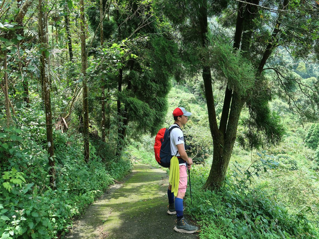 九凍雞縱走_2467958