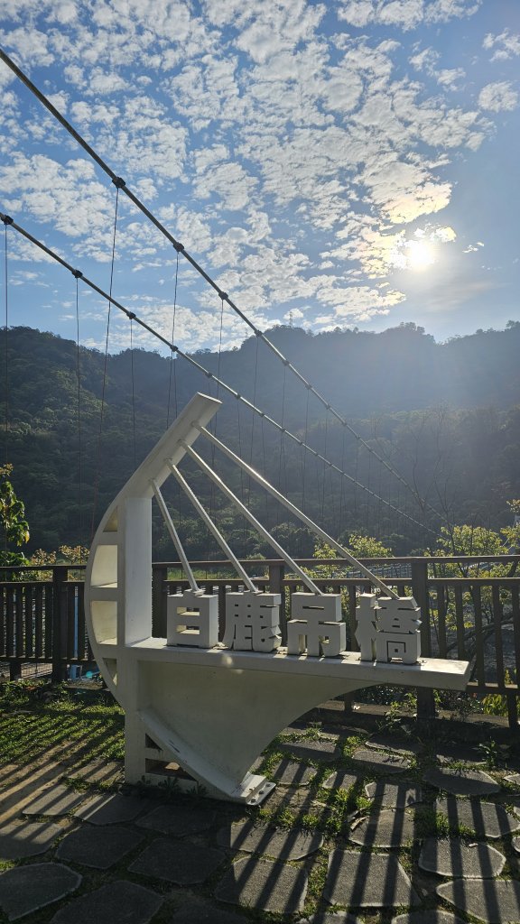 【美美兔走山趣】谷關抓雄-老六白毛_2749933