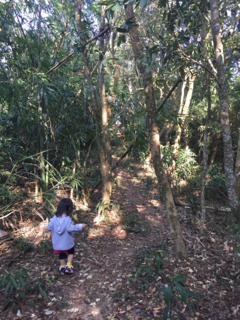 20181027貓仔們挑柴古道之旅_451608