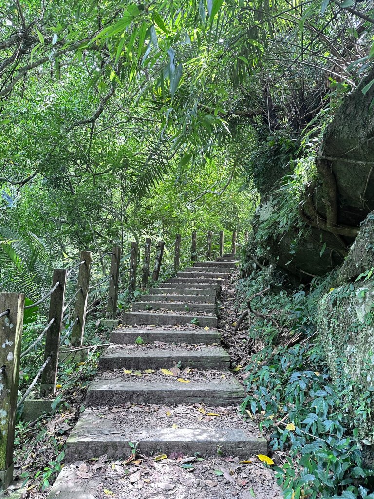 南坪古道順走馬胎古道_2598445