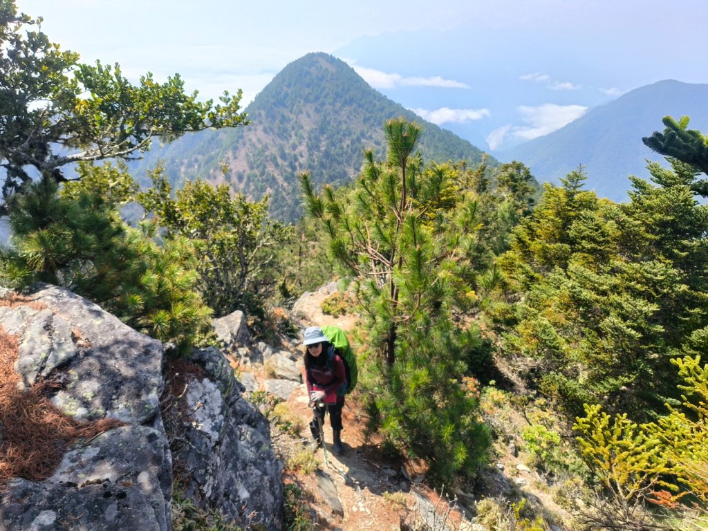 20240322 馬博8天縱走~第七天，馬西山，喀西帕南山_2471494