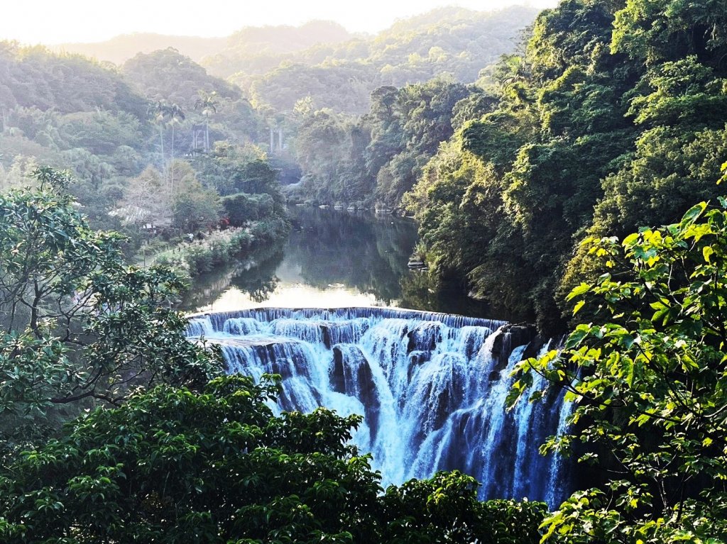 愛在秋芒紛飛時...五分山_2353810