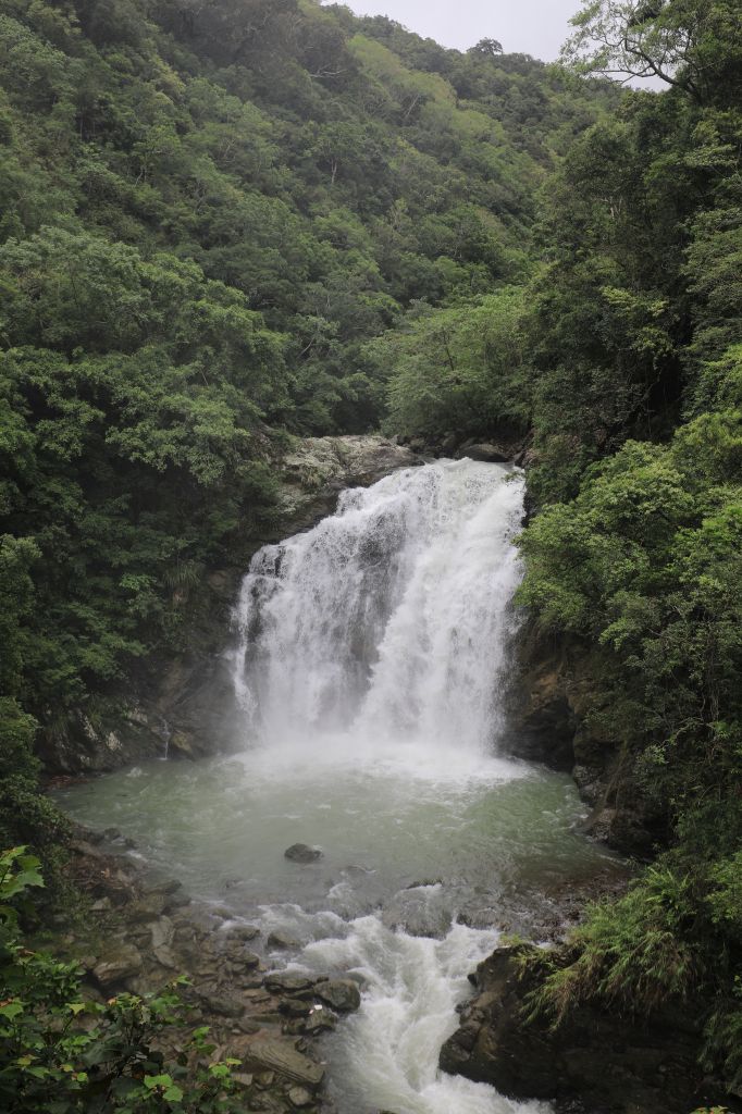 雙流封面圖