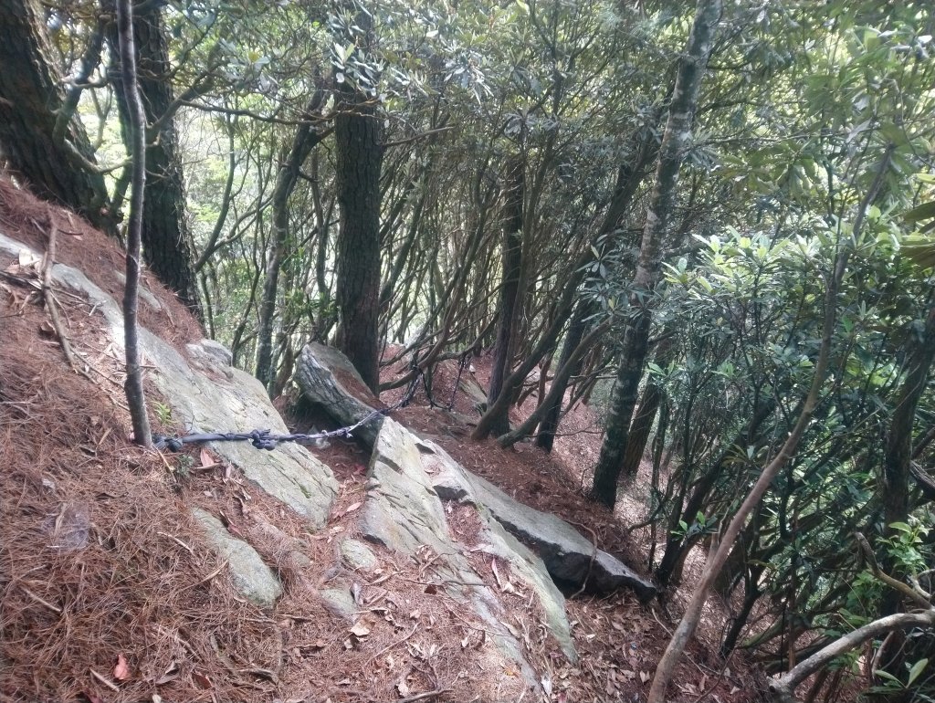 鳶嘴西稜到鳶嘴山O型回到19K大水桶_944947