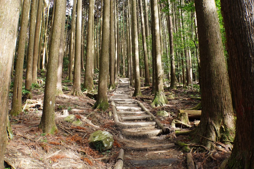 苗栗 南庄 加里山_2963437