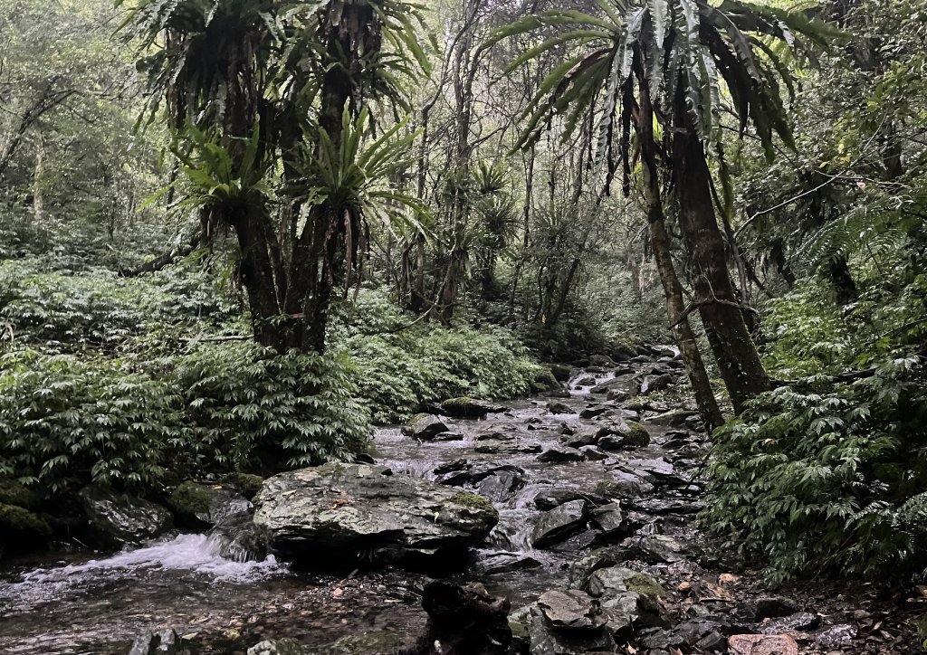 [淡蘭古道] 2025_0802 南路第四段封面圖