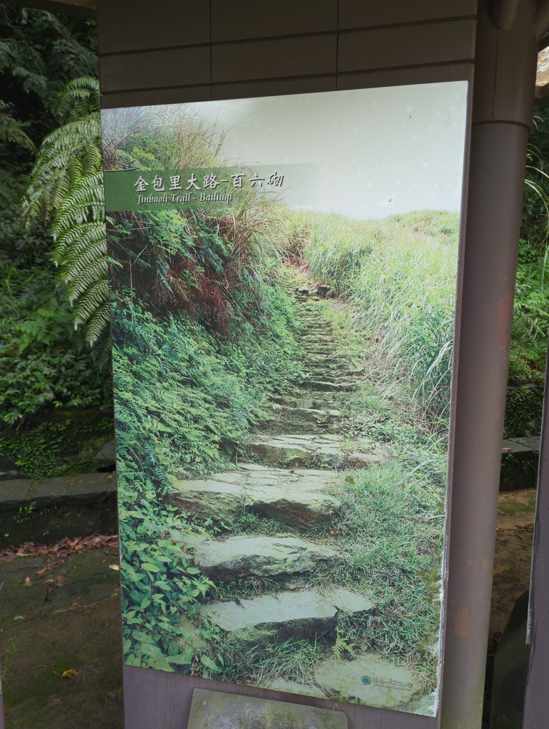 2025.04.27－金包里大路~小油坑縱走_2771010