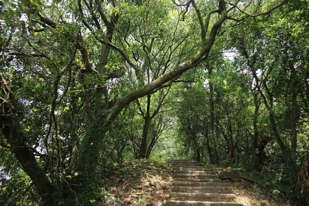 小百岳NO12  汐止大尖山 縱走海拔641公尺 四分子尾山_2228906