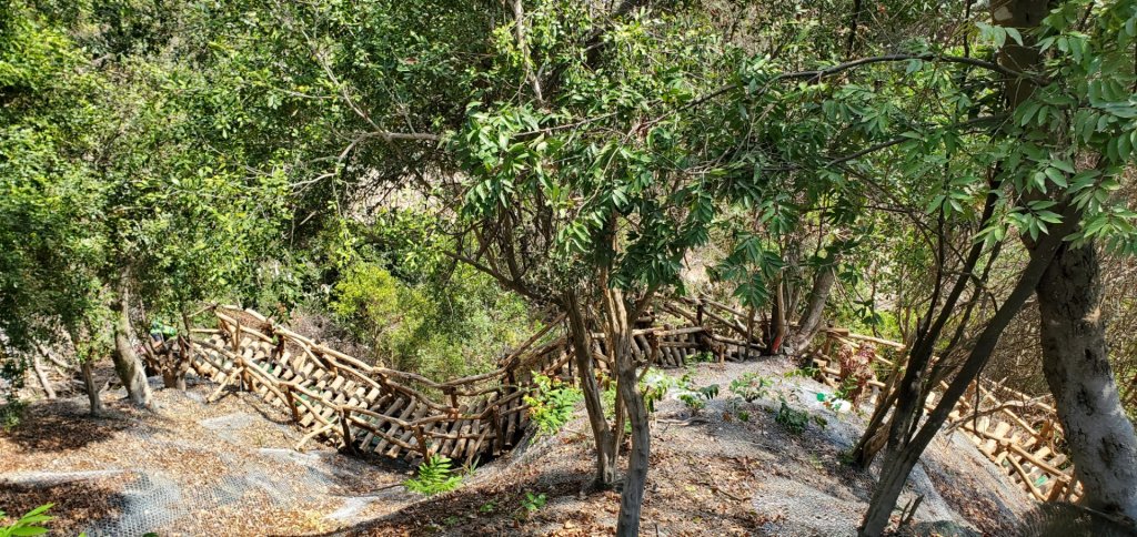 大坑四號_頭嵙山外加黑山與石苓湖山（頭嵙南峰）_2039010