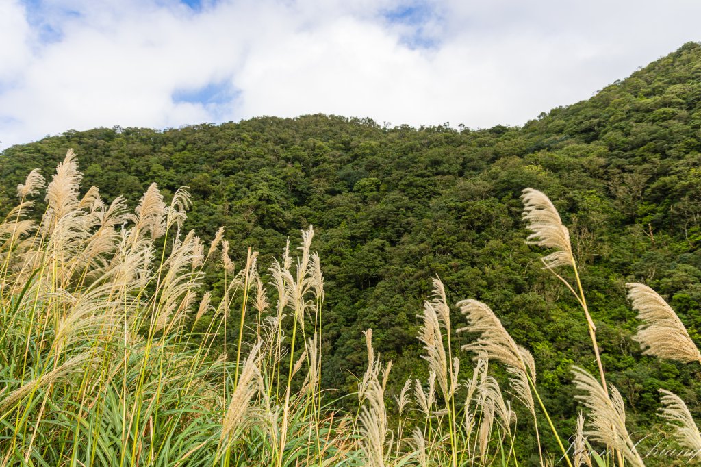 桶後越嶺_2950110