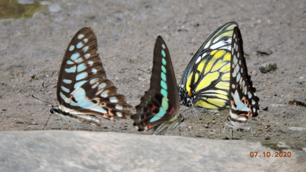 就是喜歡這個藍天白雲的FU_1028423