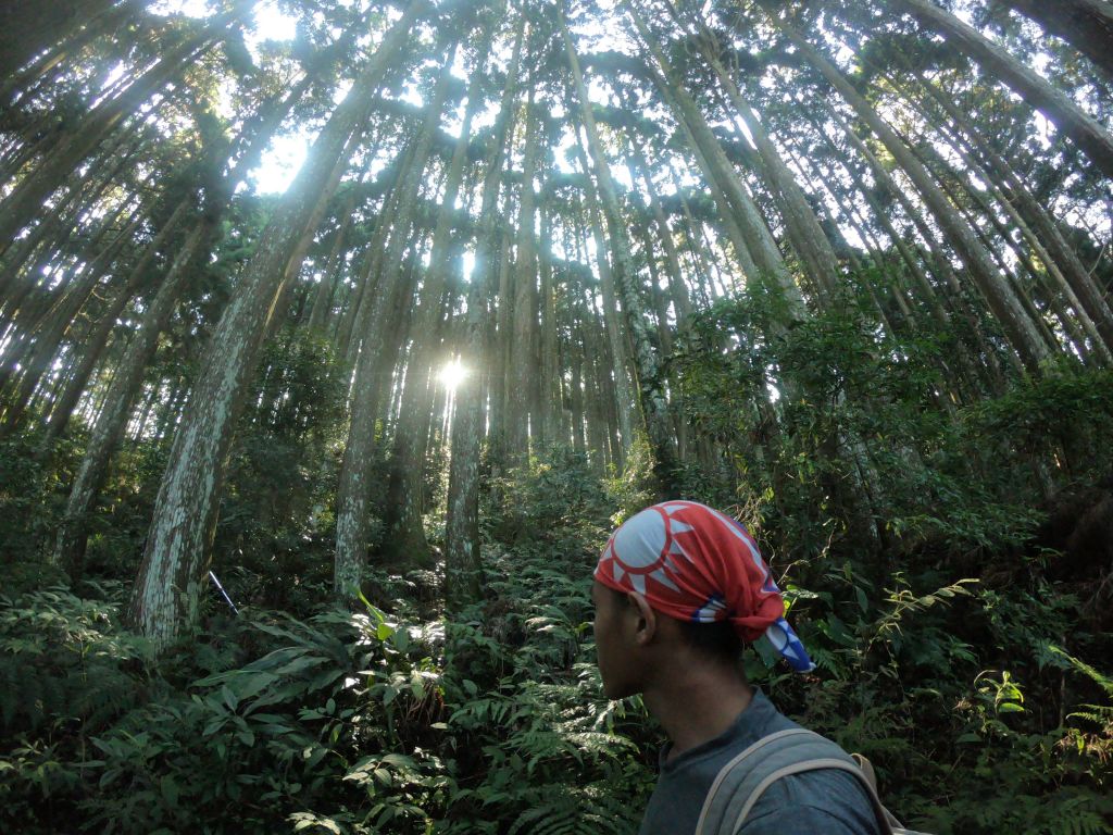 2018/8/11 加里山之旅_390394