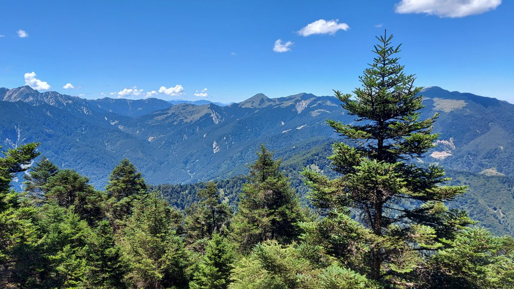 111/07/23畢羊縱走DAY 1(大禹嶺-820林道-畢祿山-鋸東山屋)_1777460