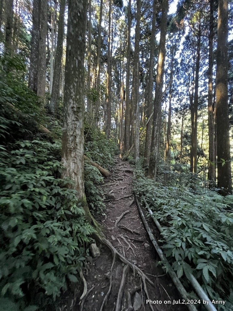 加里山好精彩_2547323