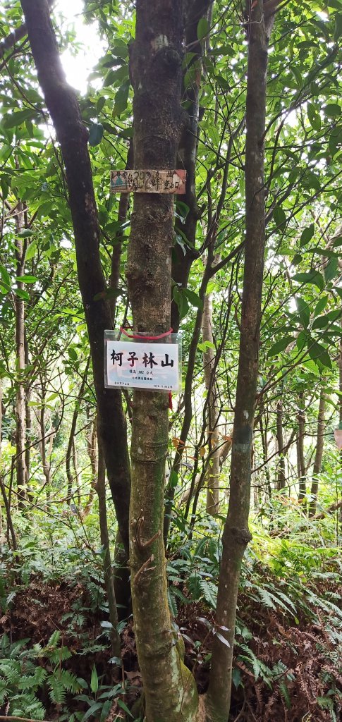 108.07.21汐止柯子林山如意湖_634153