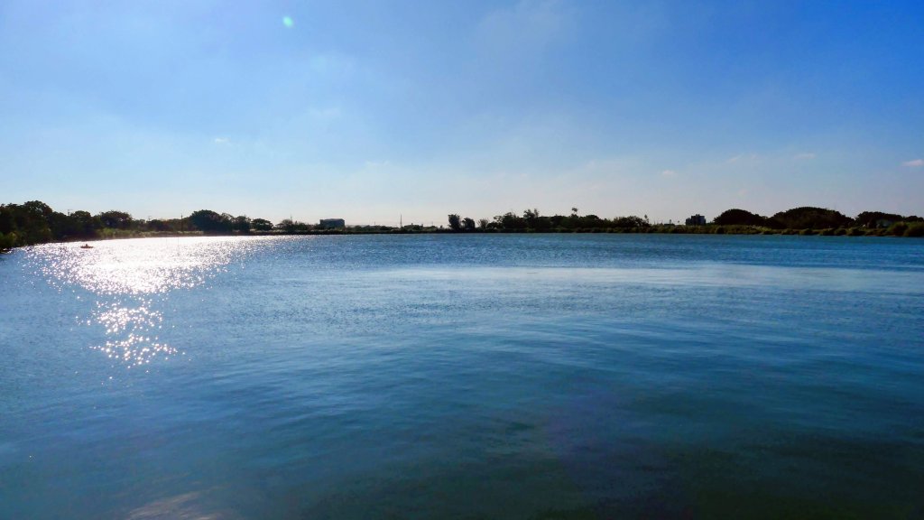 富岡仙草花_2942421