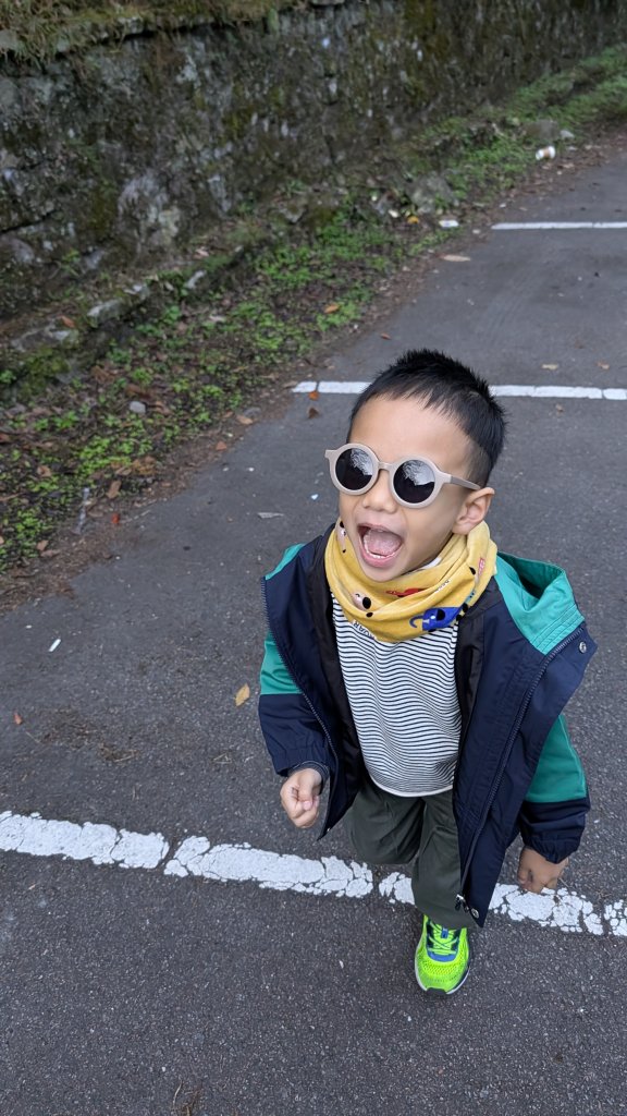 八仙山主峰步道封面圖