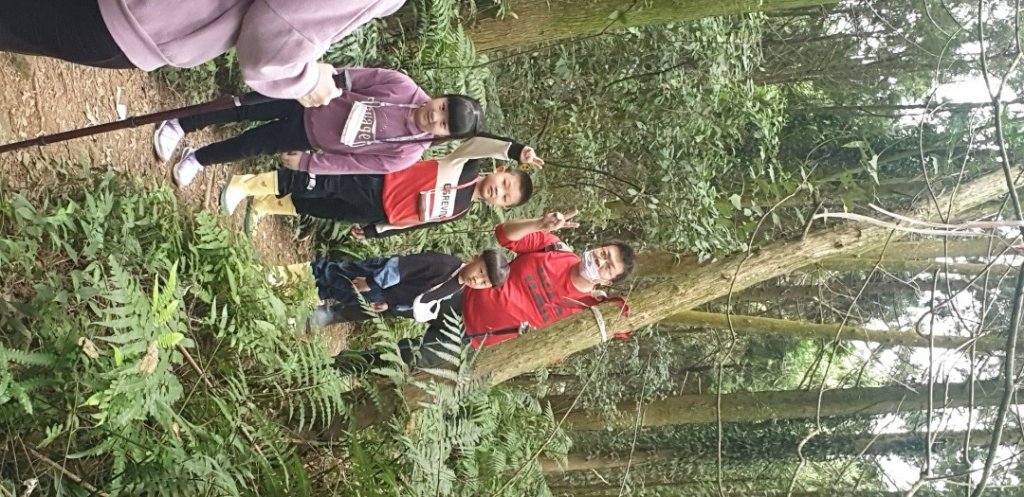 逃學步道＞騎龍山＞騎龍古道_1633537