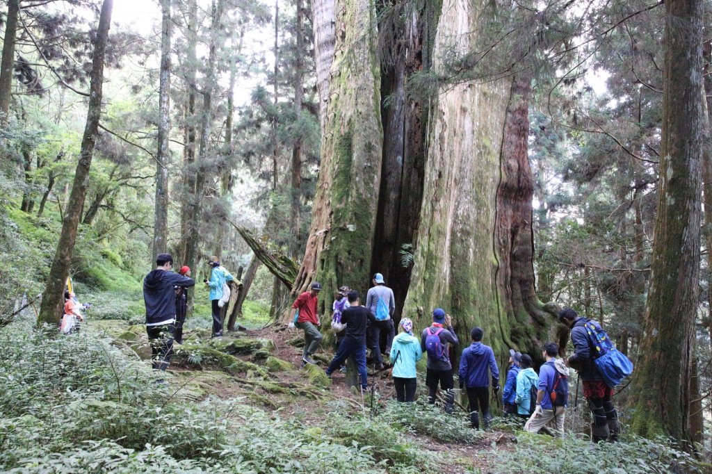 水樣森林 第一次在山裡過夜_658612