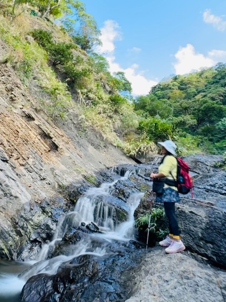 楓港紫竹林龍峰寺起登 里龍山(小百岳#80)來回封面圖