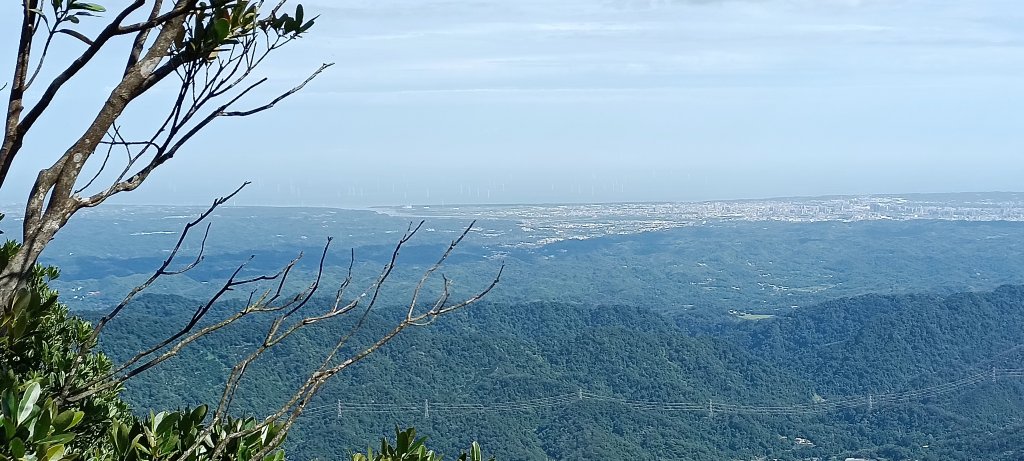 2024/06/15_仙山登山步道_2527908