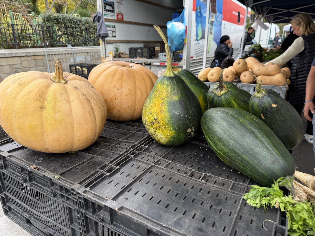 [紐約馬之行-02] 2025_1031 聯合廣場(Union Square)_2943383