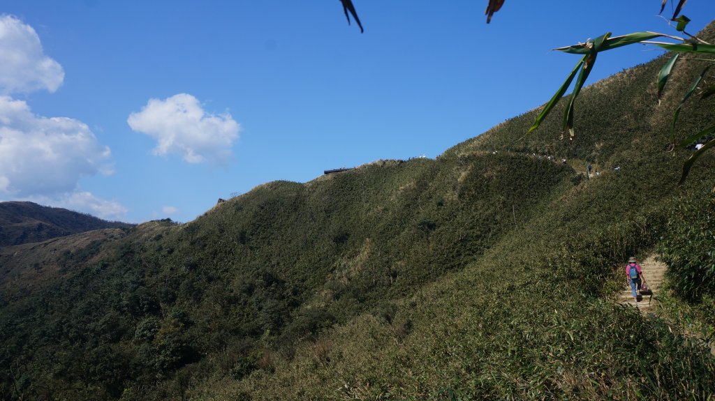 三角崙山 五峰旗瀑布連走_1261163