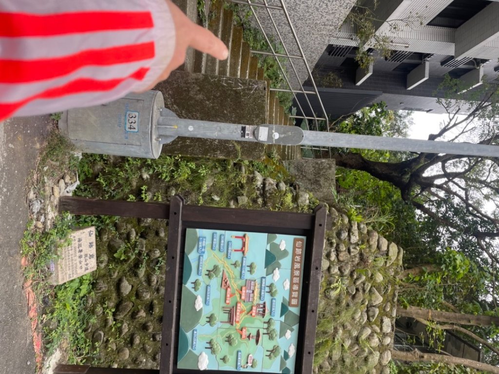 青潭越嶺政大-賞梅花🌸安坑🐦嘴四秀_2691676