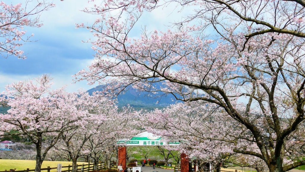 鹿兒島高千穗牧場封面圖