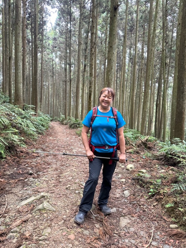鵝公髻山（小百岳）鵝公髻山東北峰_2449826