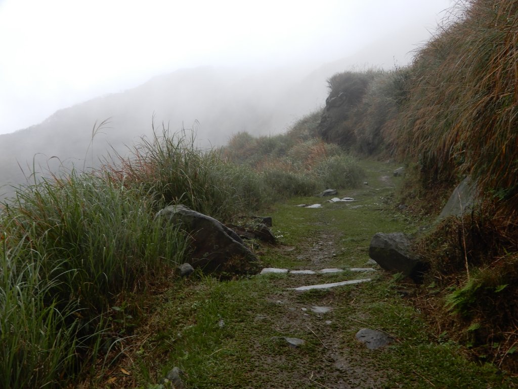 魚路古道北段+挑硫古道+大油坑山O型_816238