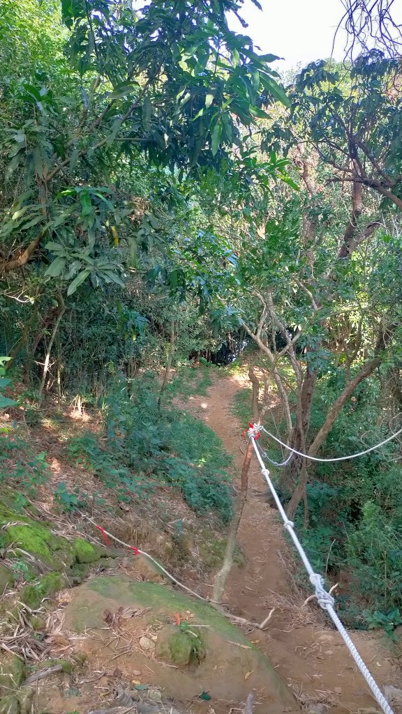 2121/10/09旗尾山環狀_1484201