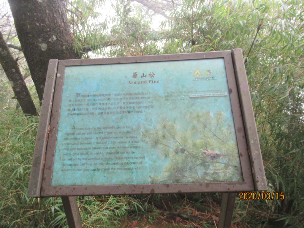 大塔山步道_907547