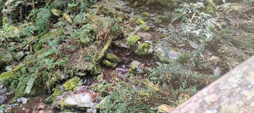 拉拉山國家森林遊樂區_2752217