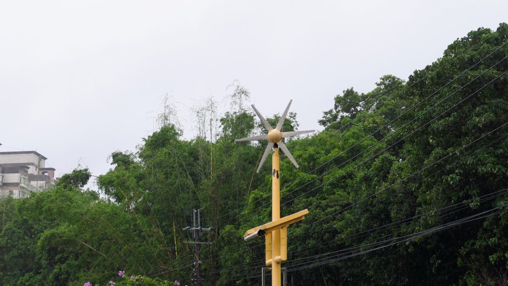 颱風過後_2613820