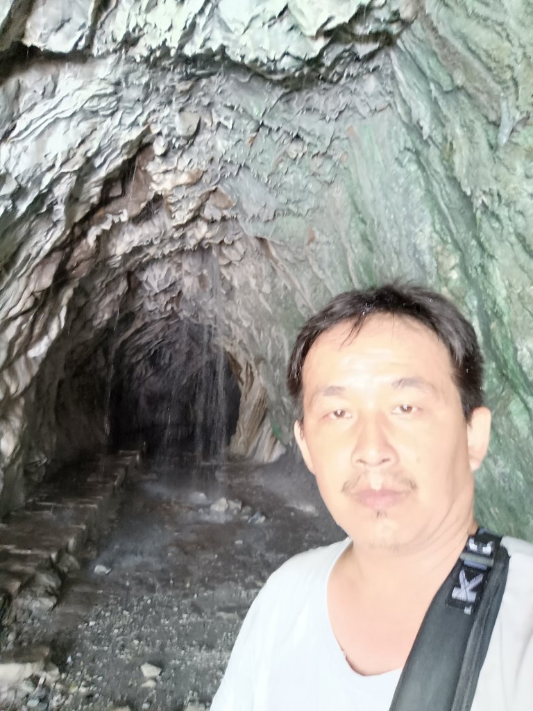 百大：白楊步道_1730142