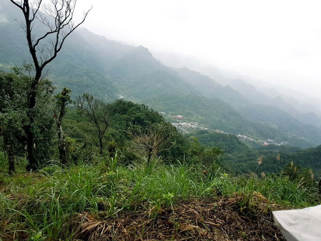 整理往平溪峰頭尖的山路1_818365