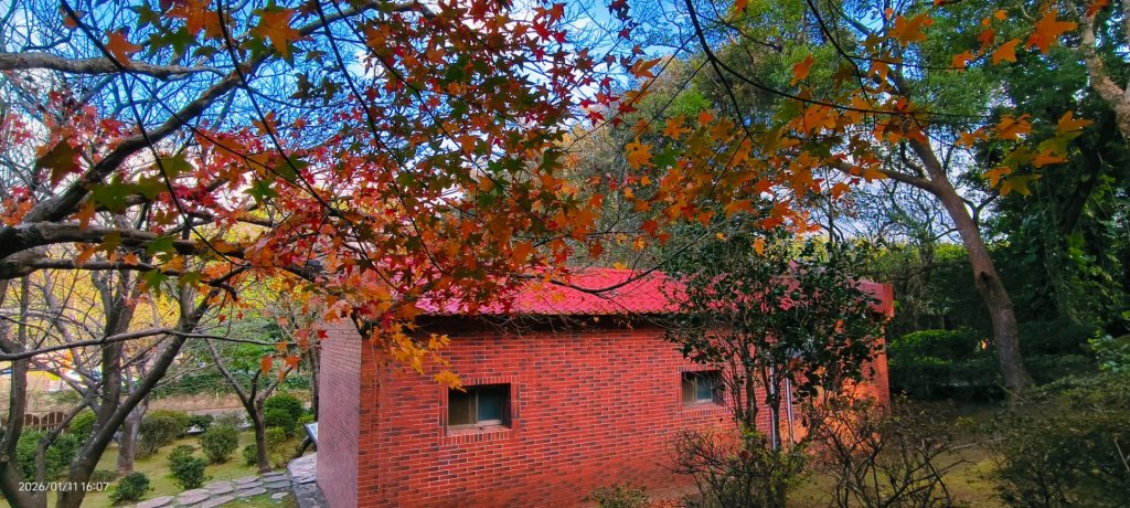 #花卉試驗中心 #永公路500巷 #平菁街42巷 #原住民公園 #士林官邸 1/4_2980400