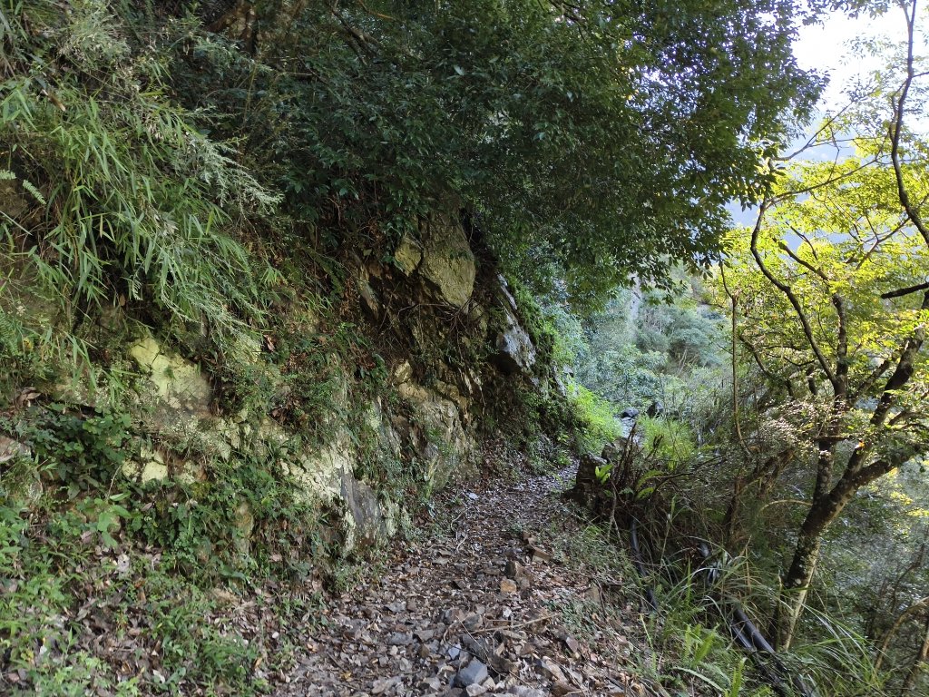 [玉山尋寶任務-07/12] 2025_0824 八通關雲龍瀑布步道_2870607