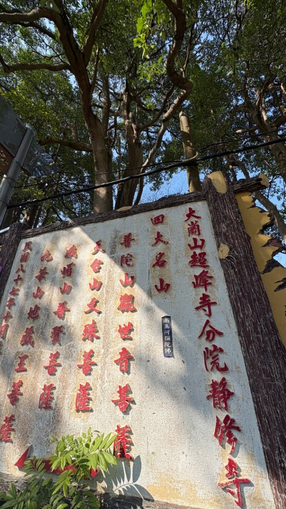 尋仙、鑽洞、啖肥雞_3002773