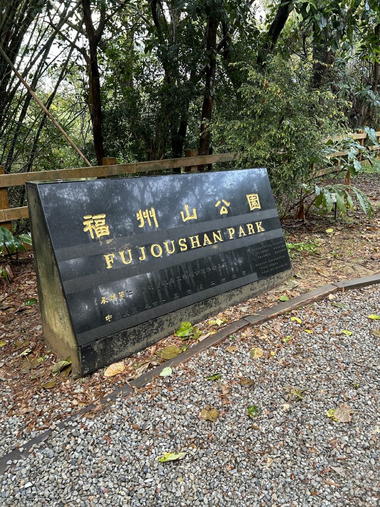 20240303 [台北大縱走6]_2444413