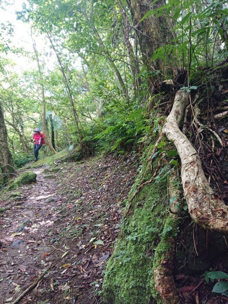 畝畝山、青林山、石古井、石硿子瀑布、石硿子古道O走_1492687