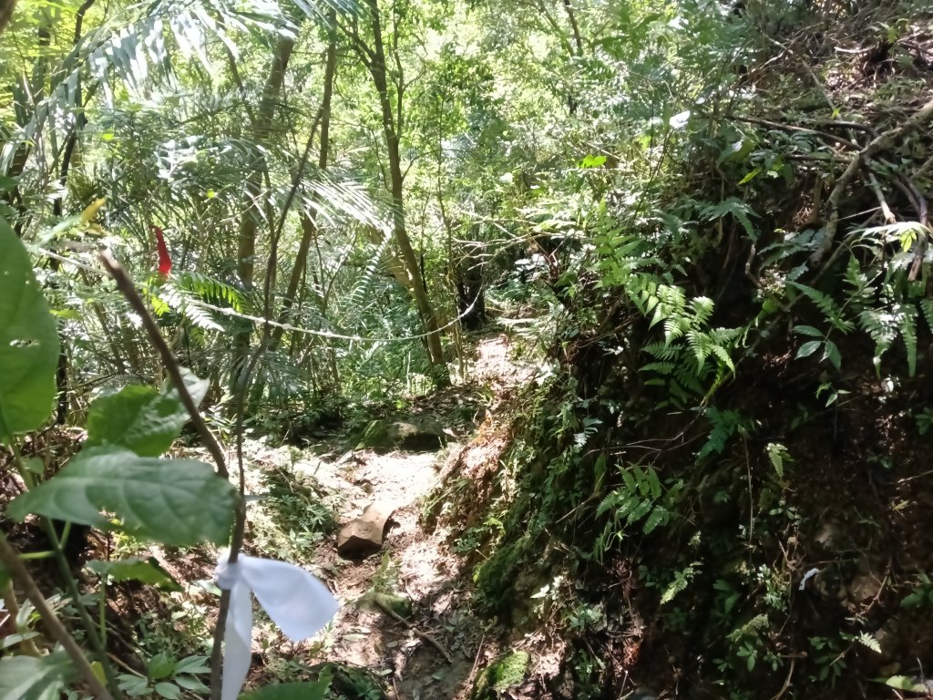 雙溪區雙坪一號橋+盤山坑山+土地公山+474峰+石硿子越嶺古道O型_2936470