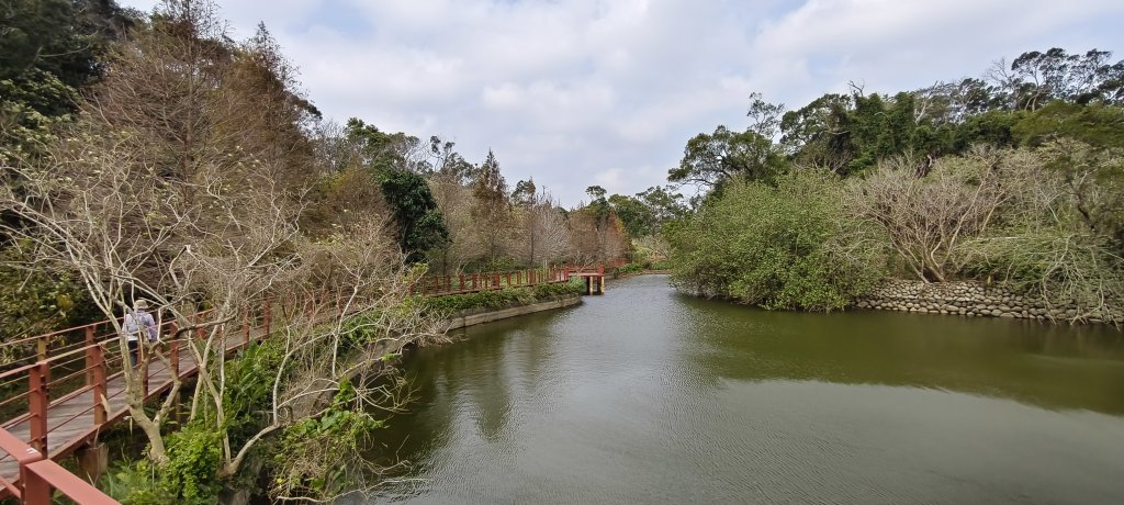 2026/02/08_老銃櫃、、三連埤步道 雙O型封面圖