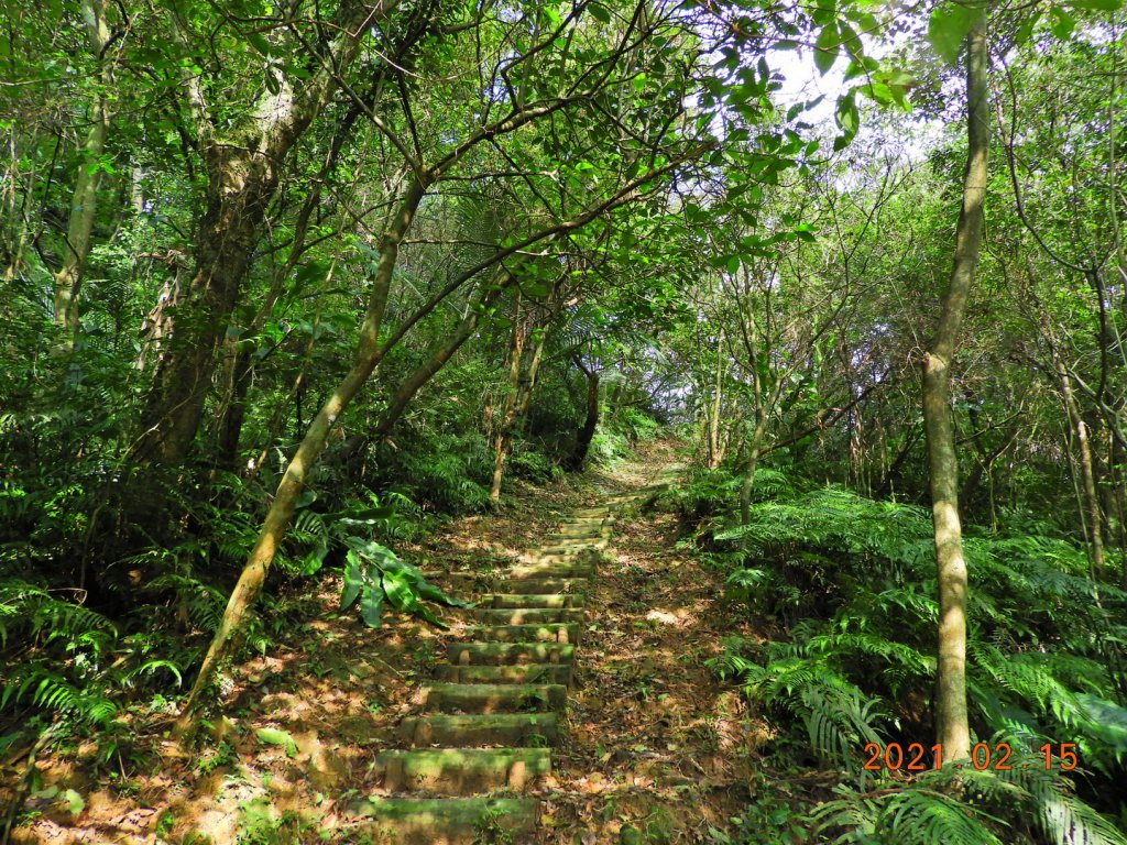 新北 雙溪 上內平林山、下內平林山_1273157