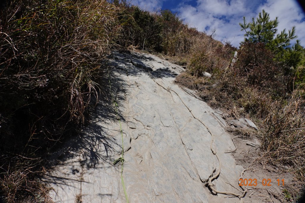 高雄 桃源 關山嶺山_2031250