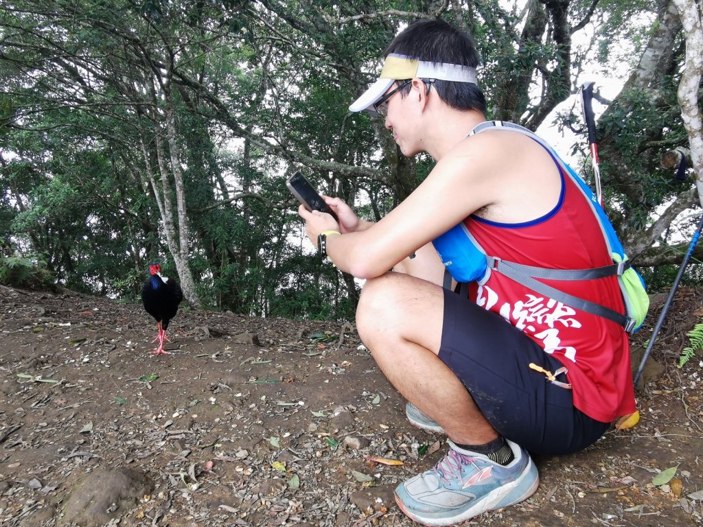 一群人可以跑很遠 - 龍加虎縱走 - 2021/9/11_1510343