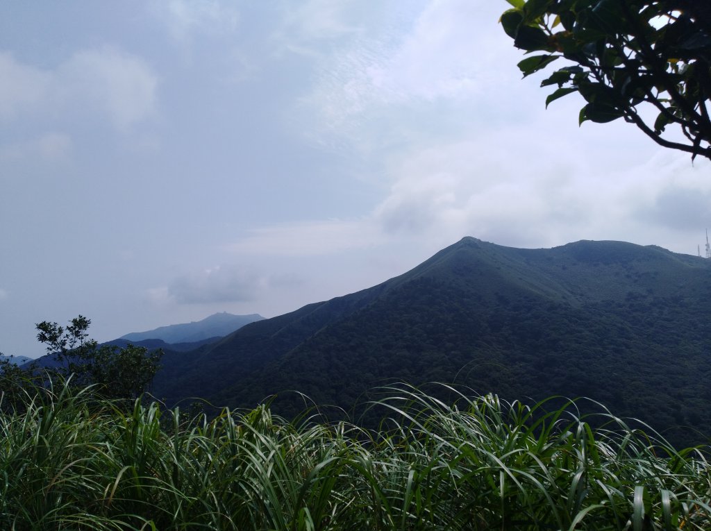 大屯山系｜漫步枕頭山。二子坪漫漫而行_665915